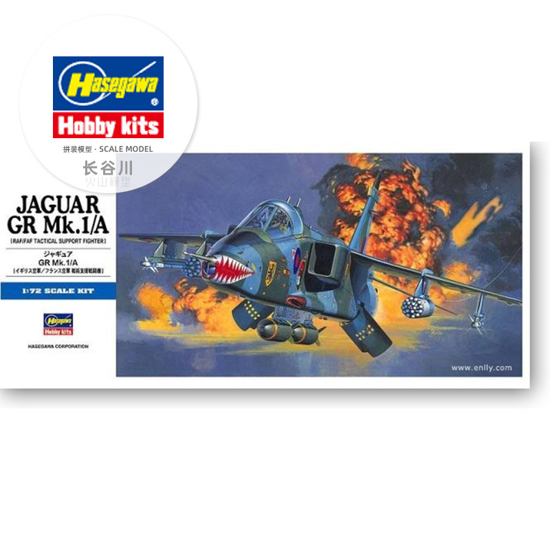 Model Kit Hasegawa - Modelo de ensamblaje prefabricado Hasegawa-00432 1/72