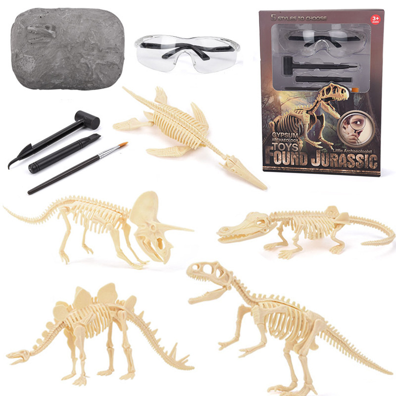 Kit de Excavación de Fósiles d - Model Kit Girls reseña y precio